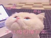 泉州鑫都钢结构制作有限公司