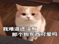 泉州鑫都钢结构制作有限公司