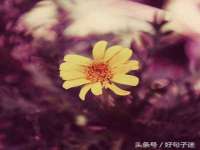 泉州鑫都钢结构制作有限公司