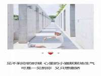 泉州鑫都钢结构制作有限公司