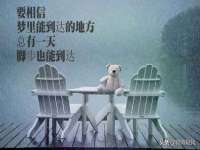 泉州鑫都钢结构制作有限公司