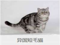 泉州鑫都钢结构制作有限公司