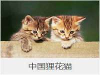 泉州鑫都钢结构制作有限公司