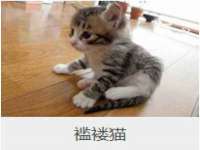 泉州鑫都钢结构制作有限公司