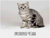 泉州鑫都钢结构制作有限公司