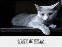 泉州鑫都钢结构制作有限公司