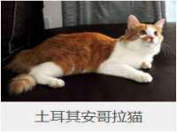 泉州鑫都钢结构制作有限公司