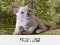 泉州鑫都钢结构制作有限公司
