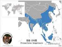 泉州鑫都钢结构制作有限公司