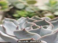泉州鑫都钢结构制作有限公司