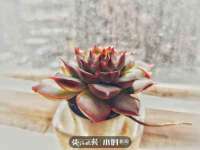 泉州鑫都钢结构制作有限公司