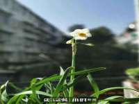 泉州鑫都钢结构制作有限公司