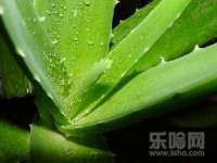 泉州鑫都钢结构制作有限公司