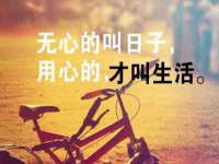 泉州鑫都钢结构制作有限公司