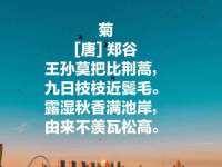 泉州鑫都钢结构制作有限公司