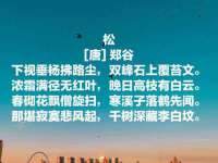 泉州鑫都钢结构制作有限公司