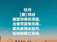 泉州鑫都钢结构制作有限公司