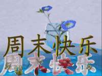 泉州鑫都钢结构制作有限公司