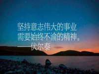 泉州鑫都钢结构制作有限公司