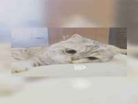 泉州鑫都钢结构制作有限公司