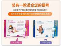 泉州鑫都钢结构制作有限公司