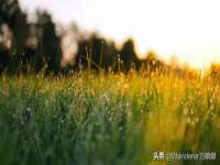 泉州鑫都钢结构制作有限公司