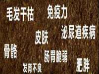 泉州鑫都钢结构制作有限公司