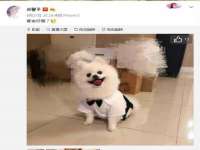 泉州鑫都钢结构制作有限公司