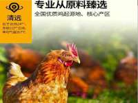 泉州鑫都钢结构制作有限公司