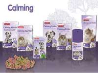 泉州鑫都钢结构制作有限公司