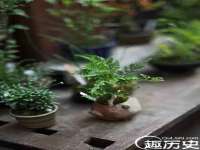 泉州鑫都钢结构制作有限公司