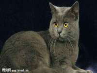 泉州鑫都钢结构制作有限公司