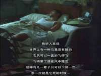 泉州鑫都钢结构制作有限公司