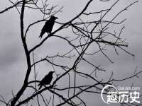 泉州鑫都钢结构制作有限公司