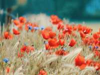 泉州鑫都钢结构制作有限公司