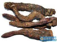 泉州鑫都钢结构制作有限公司