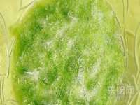 泉州鑫都钢结构制作有限公司