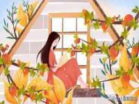泉州鑫都钢结构制作有限公司