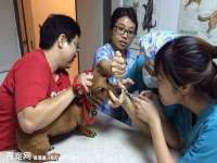 泉州鑫都钢结构制作有限公司