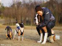 泉州鑫都钢结构制作有限公司