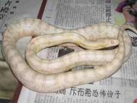 泉州鑫都钢结构制作有限公司