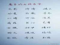 泉州鑫都钢结构制作有限公司