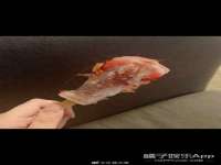 泉州鑫都钢结构制作有限公司
